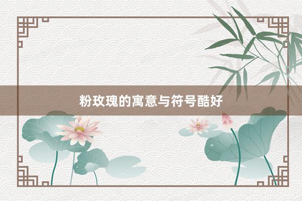 粉玫瑰的寓意与符号酷好