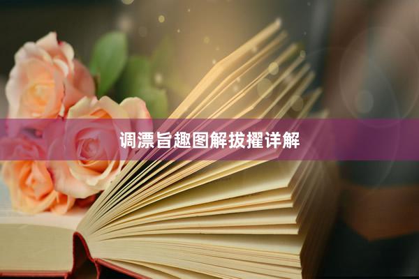 调漂旨趣图解拔擢详解