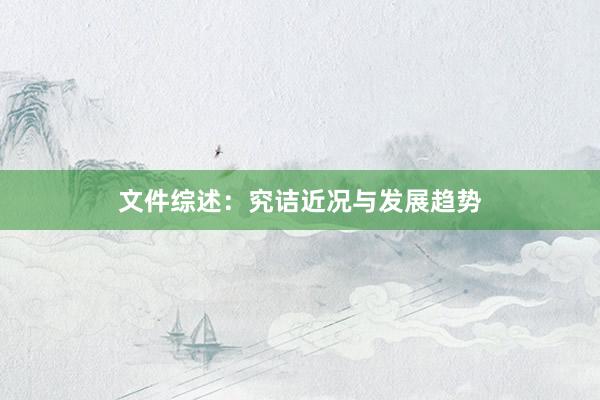 文件综述：究诘近况与发展趋势